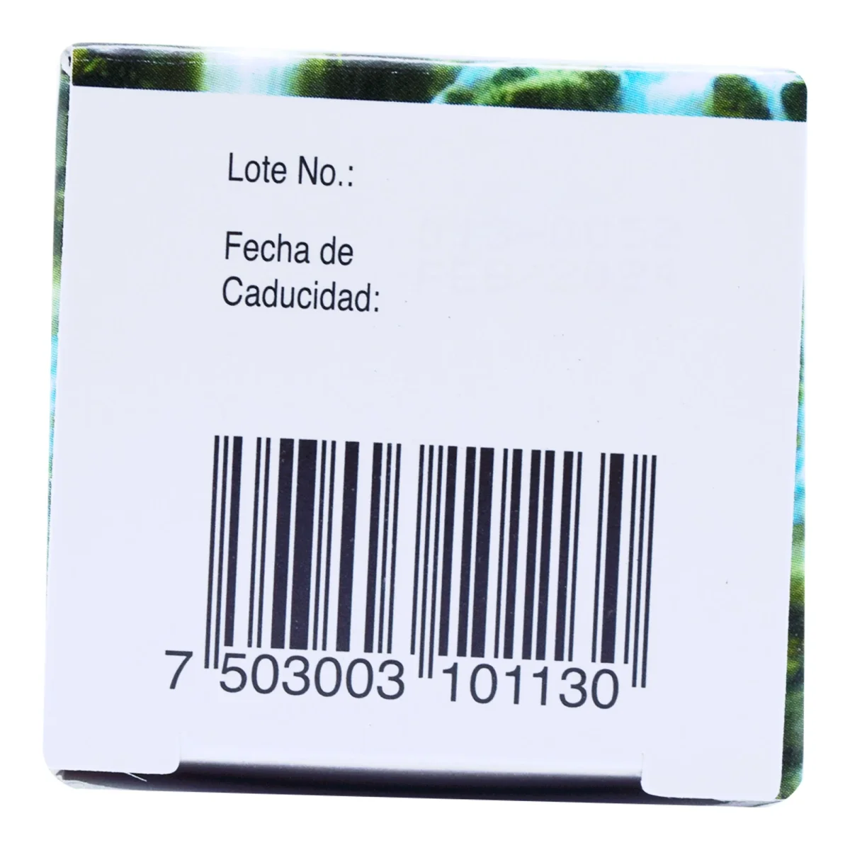 Ginkgo Biloba Extracto 50 Ml - Imagen 6
