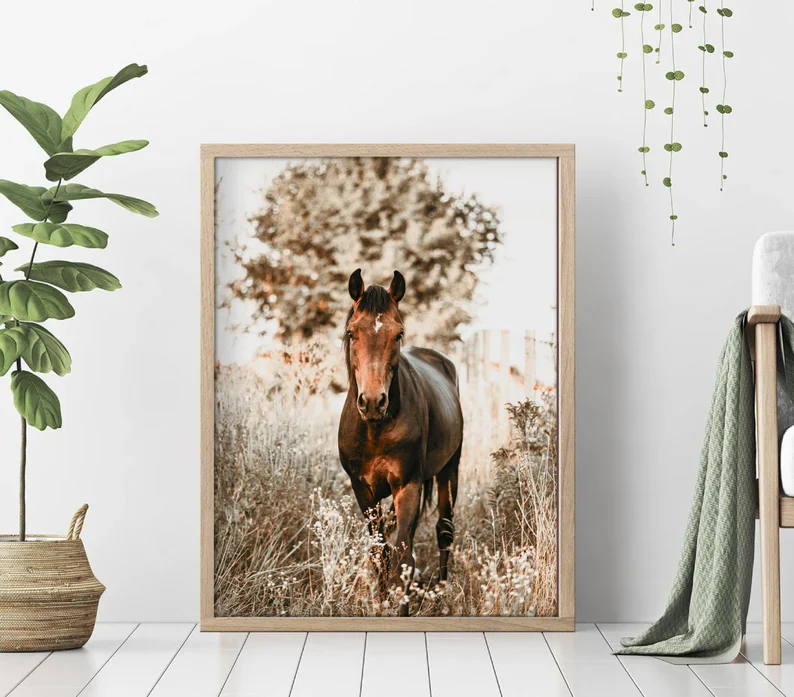 Cuadro Decorativo Caballos, Amantes de los Caballos XXVIII Marco Natural PROMO 2X1